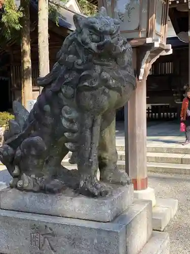 白山比咩神社の狛犬