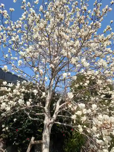 高長寺(神奈川県)