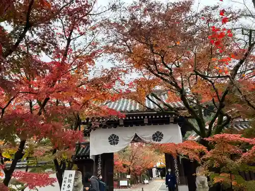 禅林寺（永観堂）(京都府)