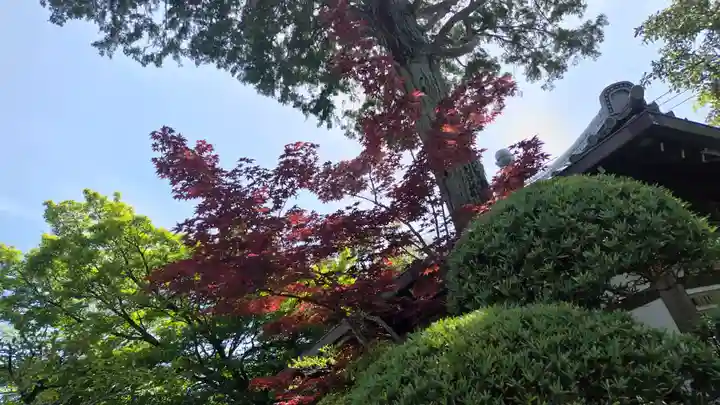 霊源院(京都府)