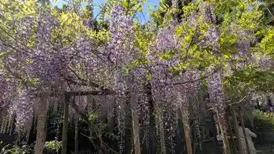歌泉堂(春日大社神苑萬葉植物園内鎮座)(奈良県)
