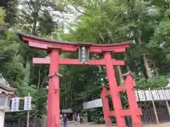 彌彦神社の鳥居