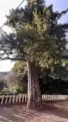 葛神社(奈良県)