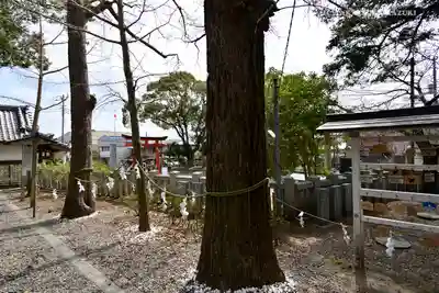 玉前神社のその他建物