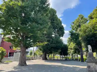 天満天神社(神奈川県)