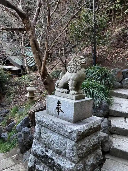 銭洗弁財天宇賀福神社の狛犬