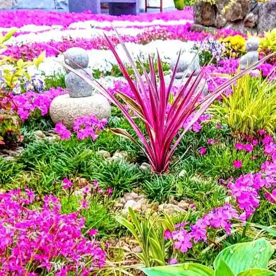 寿量山 速成寺の庭園