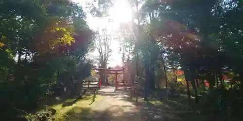 半木神社の鳥居