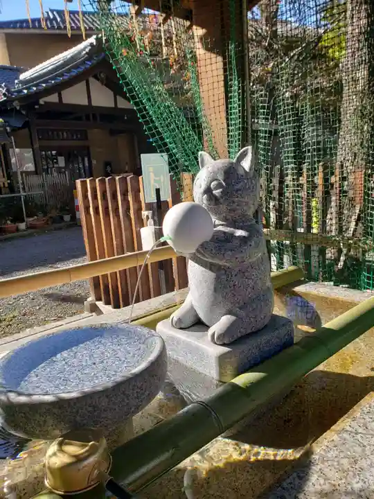 荻窪白山神社(東京都)