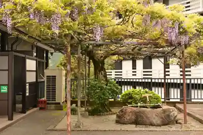 久遠寺(山梨県)