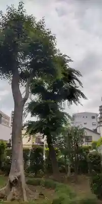 佐竹稲荷神社(東京都)