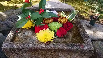 勝林寺(京都府)