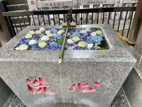 高円寺氷川神社(東京都)