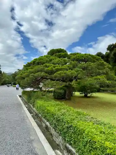 伊勢神宮内宮（皇大神宮）(三重県)