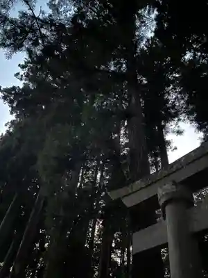 大宮温泉神社(栃木県)