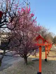 朝日森天満宮の庭園