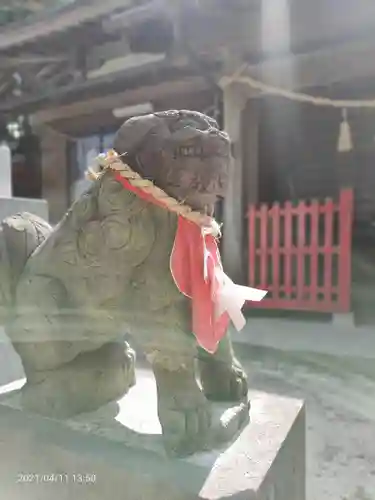 宮谷八幡神社の狛犬