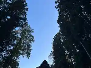 大宮温泉神社(栃木県)(2022年10月24日(月) 20時43分11秒投稿)