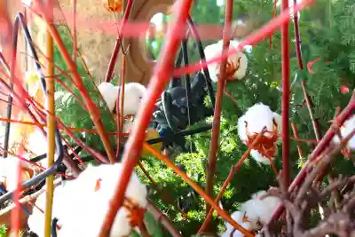 三津厳島神社の手水舎