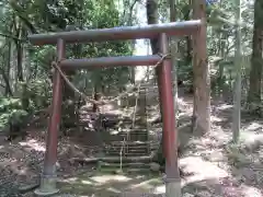 綱神社(栃木県)