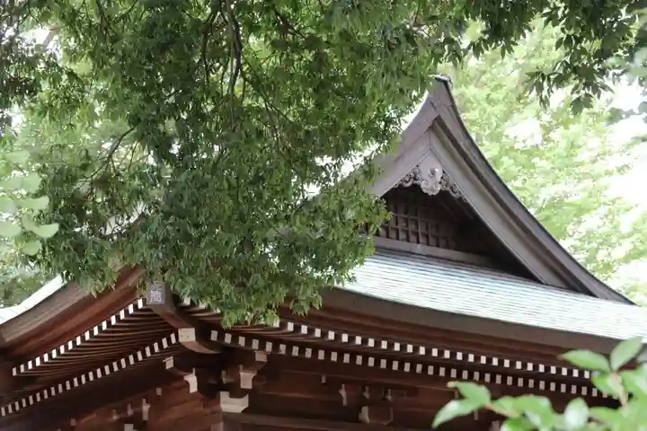 熊野福藏神社の本殿・本堂