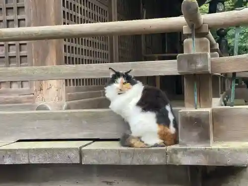 小坂神社(石川県)
