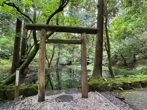 平泉寺白山神社(福井県)