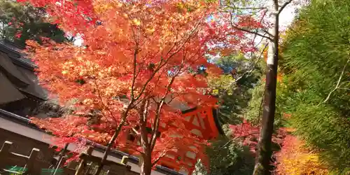 出雲大神宮の景色