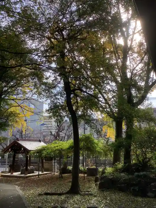 闇之森八幡社の自然