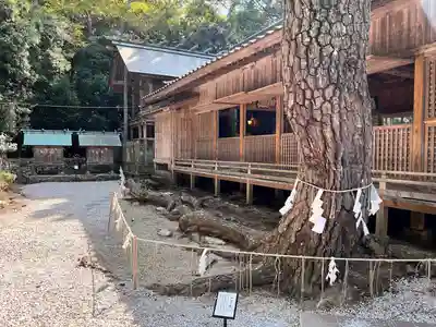 和多都美神社のその他建物