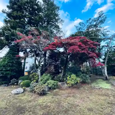 宝泉寺(埼玉県)