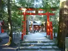 椿大神社の鳥居