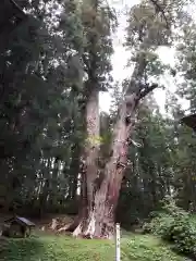 比叡山神社の自然