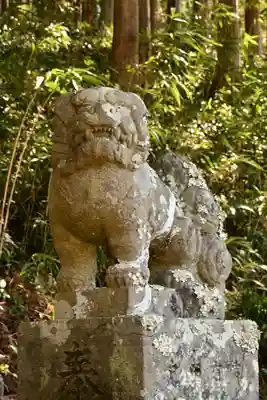 三所神社（桑の川の大杉）(高知県)