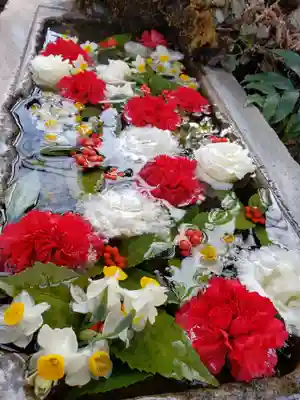 本郷氷川神社(東京都)