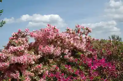 五大尊堂(長徳寺)の自然
