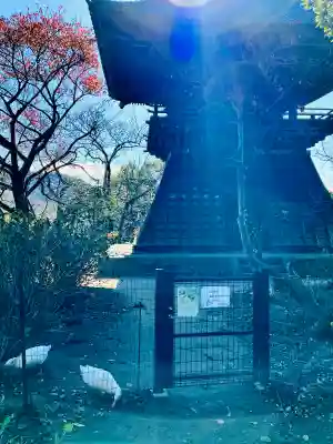 楽法寺(雨引観音)(茨城県)