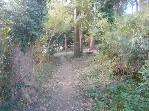 御霊神社（葉山・長柄）の自然