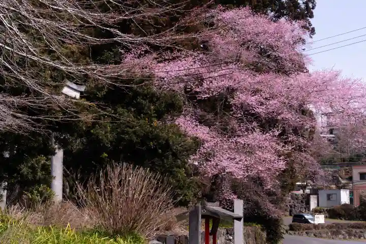 村山浅間神社(静岡県)