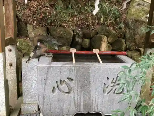 石部神社の手水舎