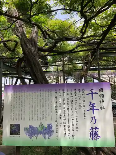 國領神社の歴史