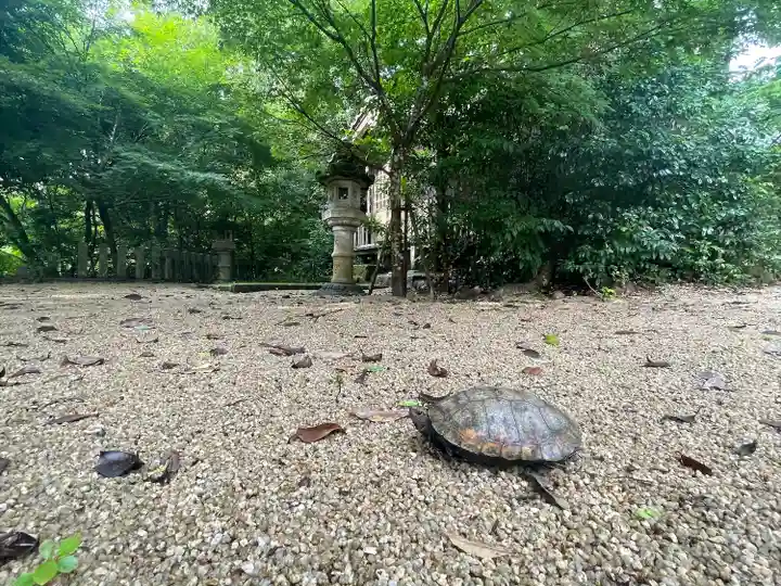 山王宮日吉神社のその他建物