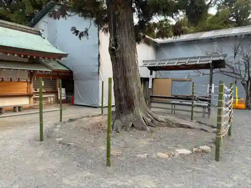 石清水八幡宮(京都府)