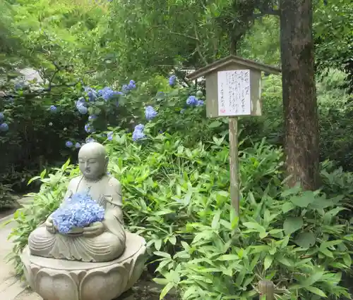 明月院(神奈川県)