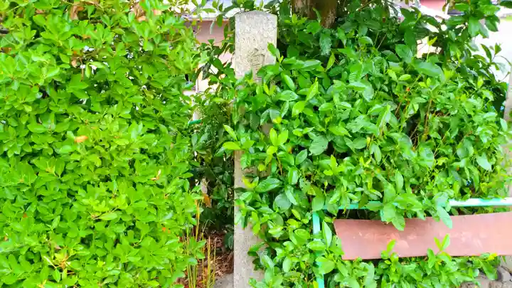山口神社のその他建物