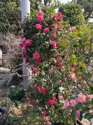 日蓮宗龍口山本龍寺(神奈川県)