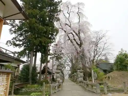 神炊館神社 ⁂奥州須賀川総鎮守⁂のその他建物