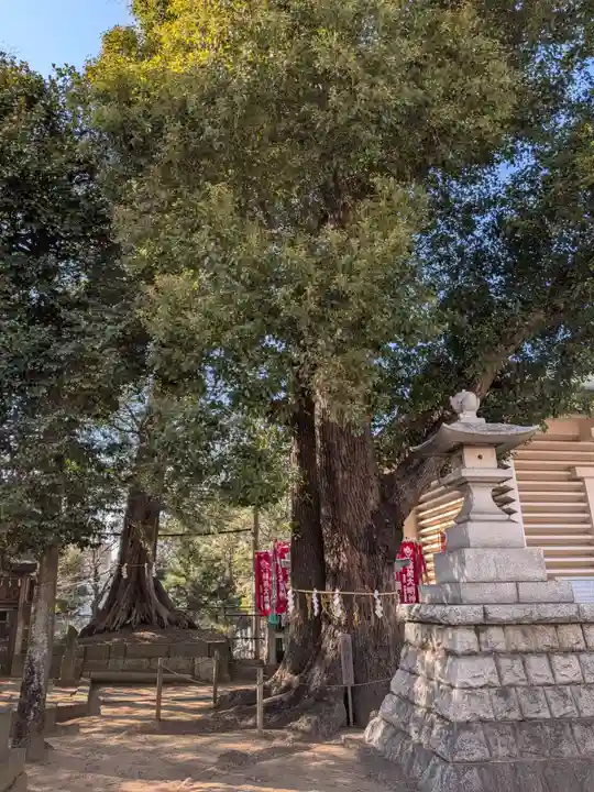 諏訪神社(東京都)