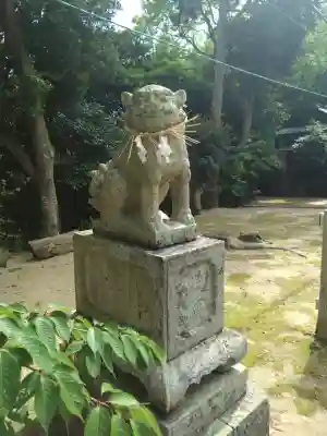 長尾八幡宮の{uncategorized: "未分類", other: "その他", undefined: "問題あり", building: "その他建物", grave: "お墓", sacred_gate: "鳥居", guardian: "狛犬", statue: "像", buddha: "仏像", history: "歴史", nature: "自然", garden: "庭園", animal: "動物", pagoda: "塔", temizu: "手水舎", mountain_gate: "山門・神門", sanctuary: "本殿・本堂", subordinate: "末社・摂社", art: "芸術", scenery: "景色", jizo: "地蔵", ema: "絵馬", goshuin: "御朱印", omikuji: "おみくじ", items: "授与品その他", amulet: "お守り", goshuincho: "御朱印帳", eats: "食事", festival: "お祭り", votive_dance: "神楽", shichigosan: "七五三参", wedding: "結婚式", experience: "体験その他", initially: "初詣", around: "周辺", anti_infection: "感染症対策"}