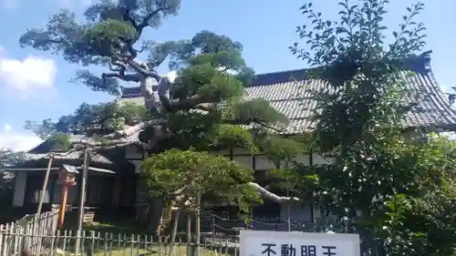 圓鏡寺の庭園